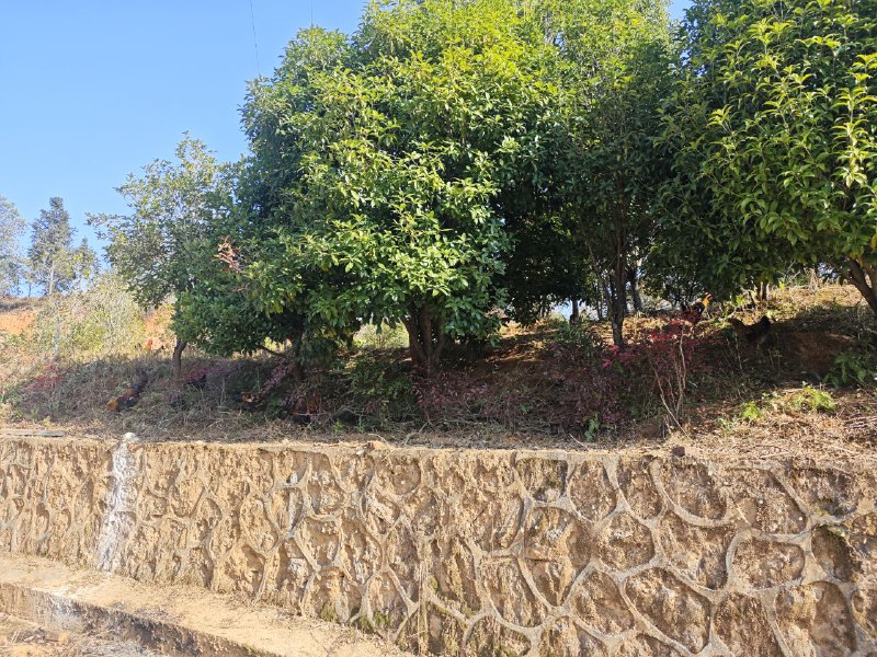 上了三年课没想到学校后面还有这种地方#我的大学上了三年课没想到学校后面还有这种地方#我的大学