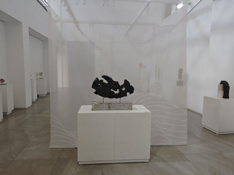 #我的大学#我的大学