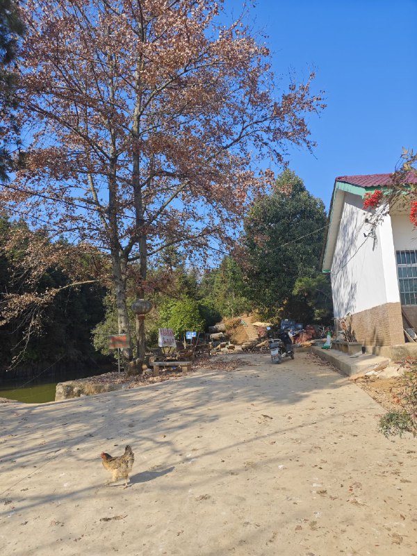 上了三年课没想到学校后面还有这种地方#我的大学上了三年课没想到学校后面还有这种地方#我的大学