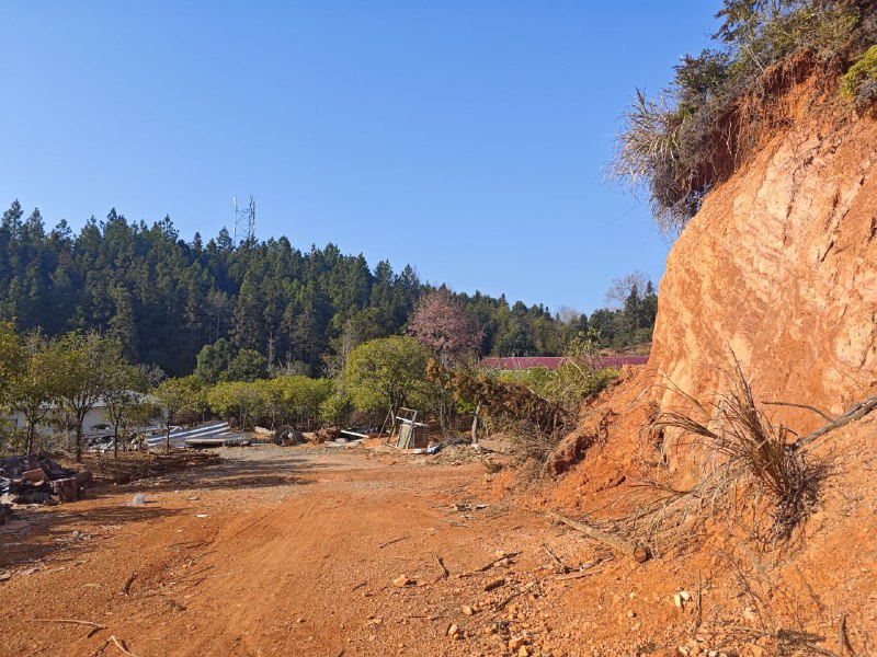 上了三年课没想到学校后面还有这种地方#我的大学上了三年课没想到学校后面还有这种地方#我的大学